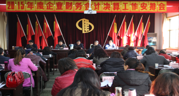 集团公司召开2015年度财务决算安排会议
